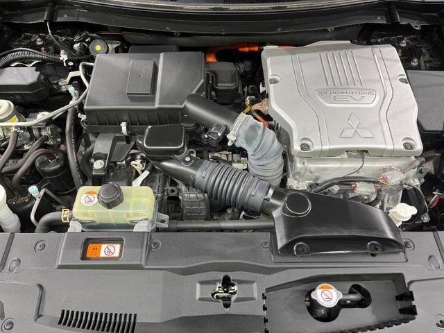 23207562_carP_l_16.jpg