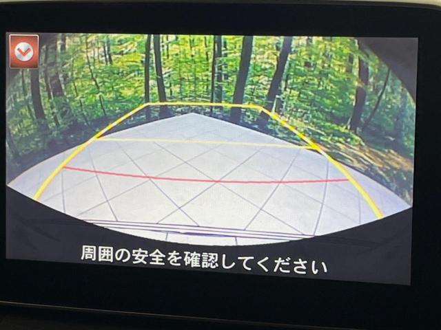 21584133_carP_l_4.jpg