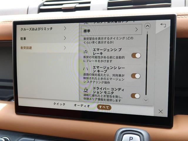 18258261_carP_l_7.jpg