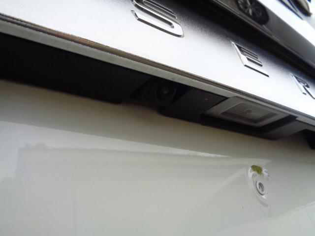 19609576_carP_l_12.jpg
