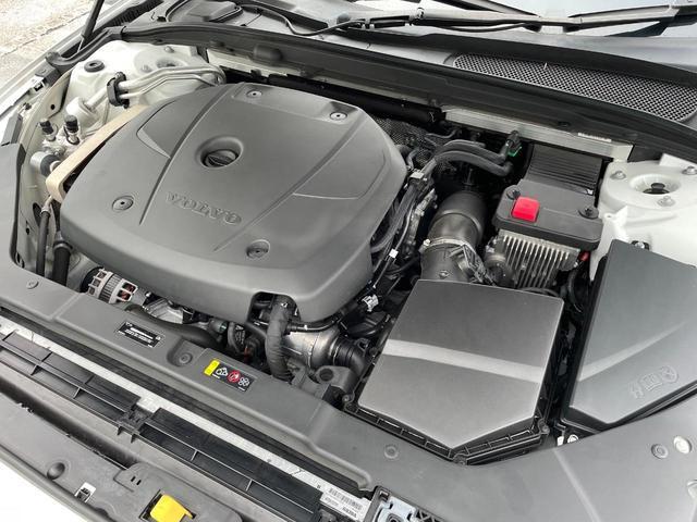 23207844_carP_l_20.jpg