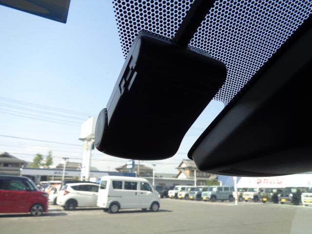17590307_carP_l_2.jpg