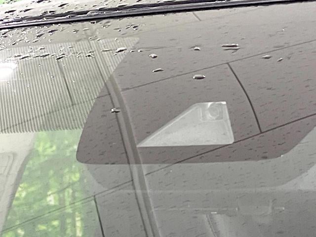 18070891_carP_l_15.jpg
