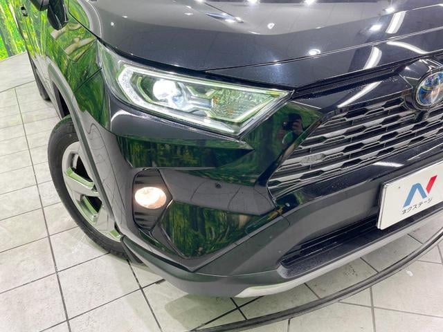 18070891_carP_l_7.jpg