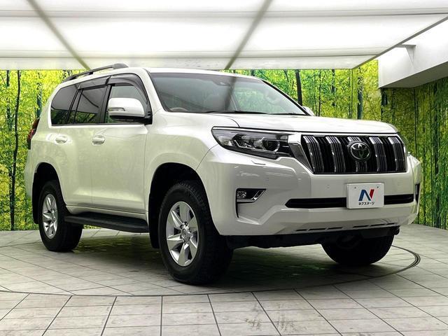 22448819_carP_l_11.jpg