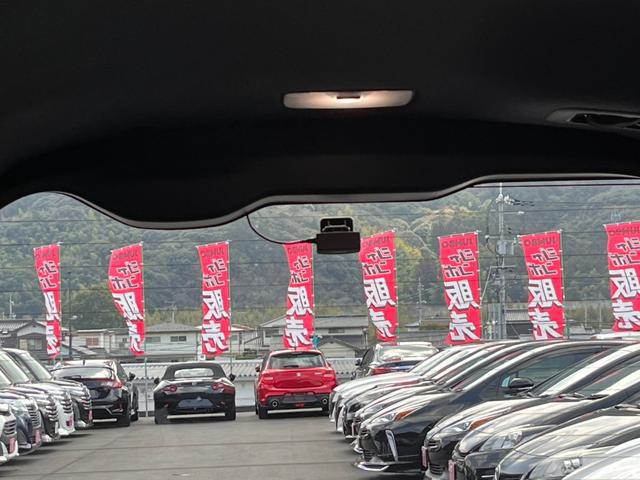 1003157A30250321W00117.jpg