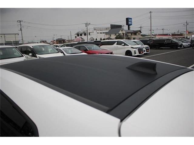45cfe5afd1a6897e756cd9bb756e945e.jpg