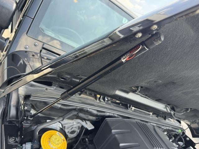 18905032_carP_l_4.jpg