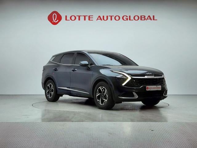 lotterental_181156204_QGs2N_1.jpg