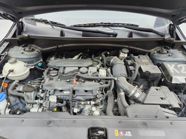 lotterental_181204679_1NmYc_1.jpg