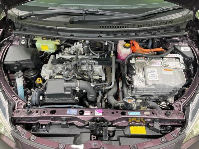 19898055_carP_l_16.jpg