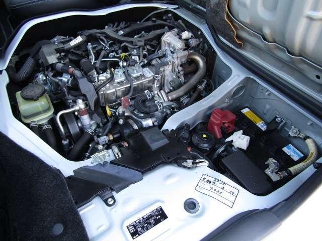 22200837_carP_l_9.jpg