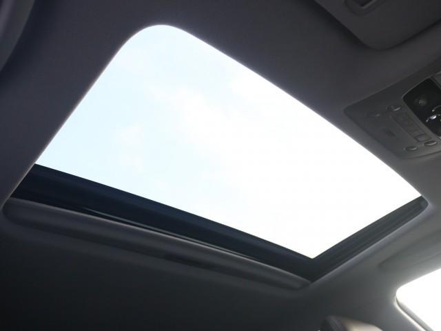 23080280_carP_l_12.jpg