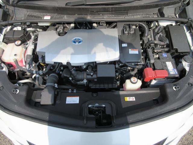 22187670_carP_l_12.jpg