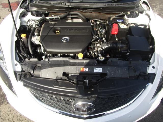 15680012_carP_l_20.jpg