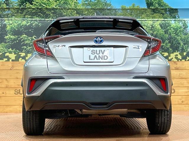 22661061_carP_l_9.jpg