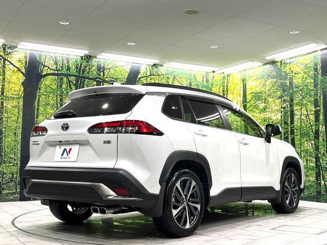 21619707_carP_l_16.jpg