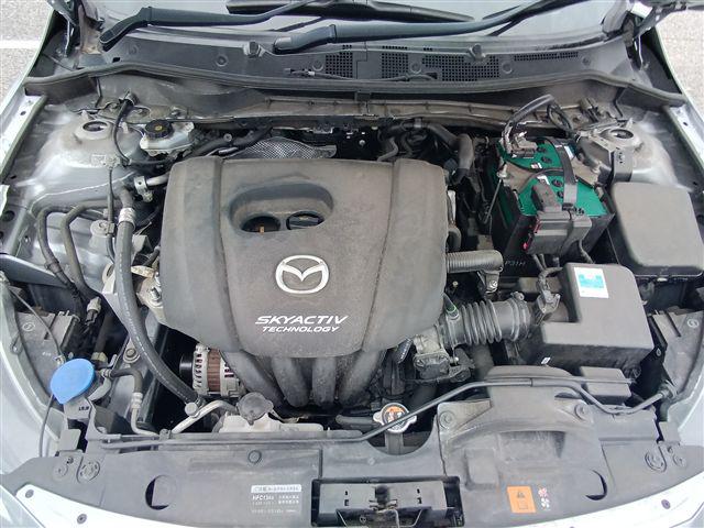 08.jpg