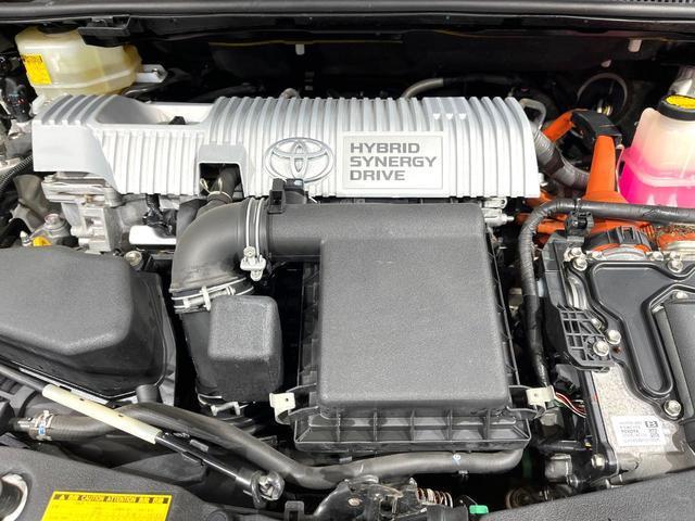 21289500_carP_l_16.jpg