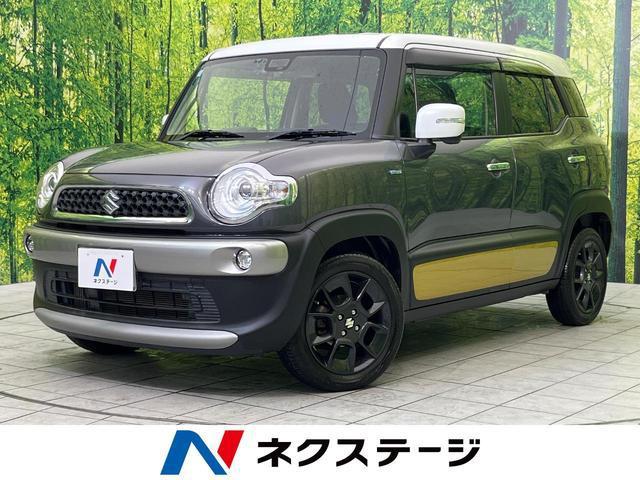 21817402_carP_l_1.jpg