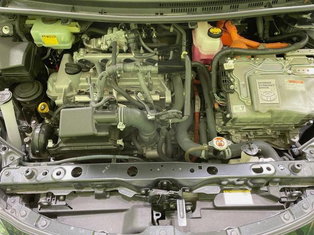 21984923_carP_l_16.jpg