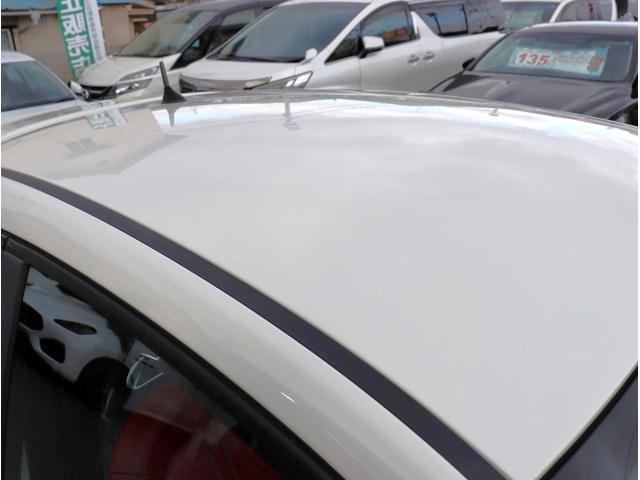 21965813_carP_l_5.jpg