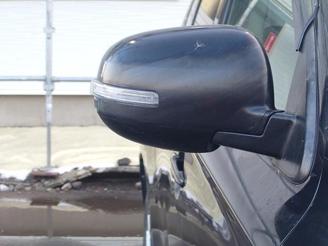 21026460_carP_l_14.jpg