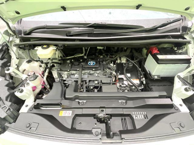 22698885_carP_l_18.jpg