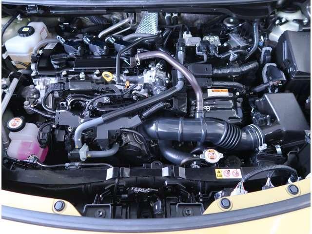 19693372_carP_l_11.jpg