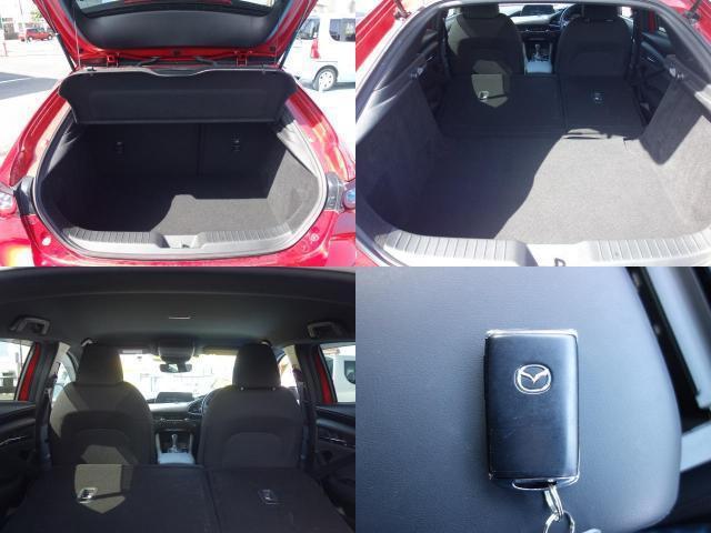 22980669_carP_l_17.jpg