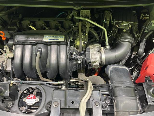 19944681_carP_l_16.jpg