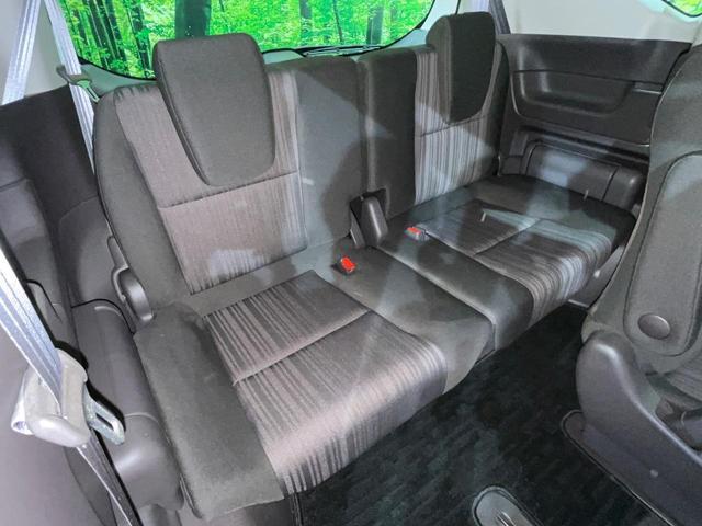 19944681_carP_l_2.jpg