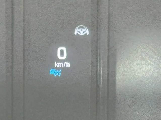 05.jpg