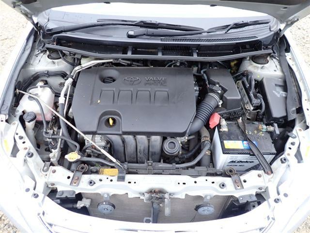 08.jpg