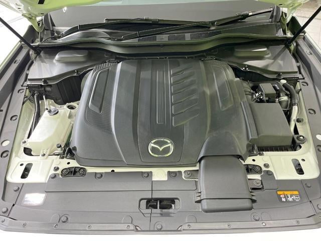 19898015_carP_l_16.jpg
