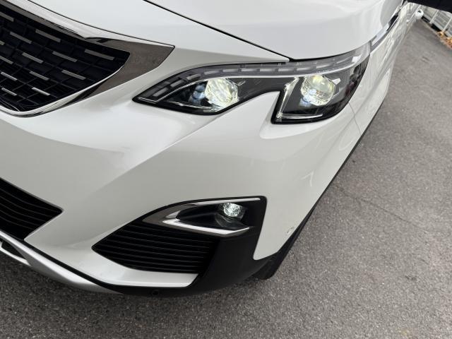 21802315_carP_l_8.jpg