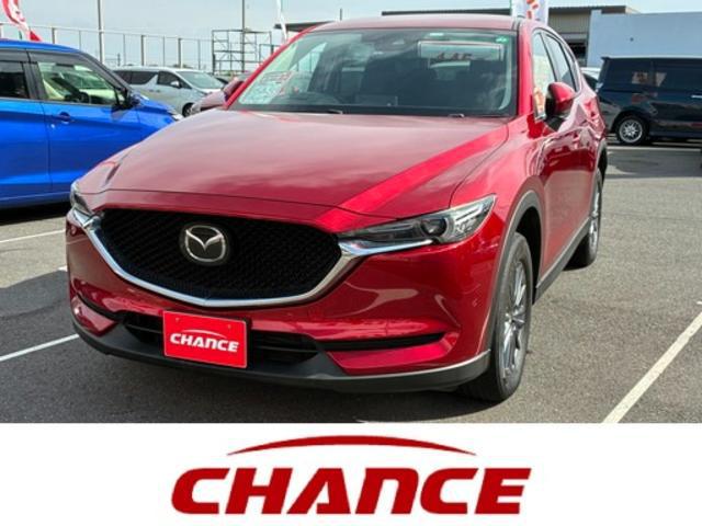 70005606533026030900100.jpg