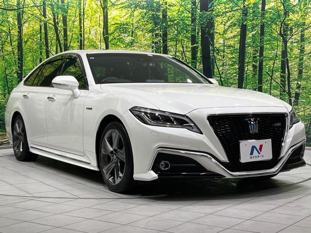 21654729_carP_l_11.jpg