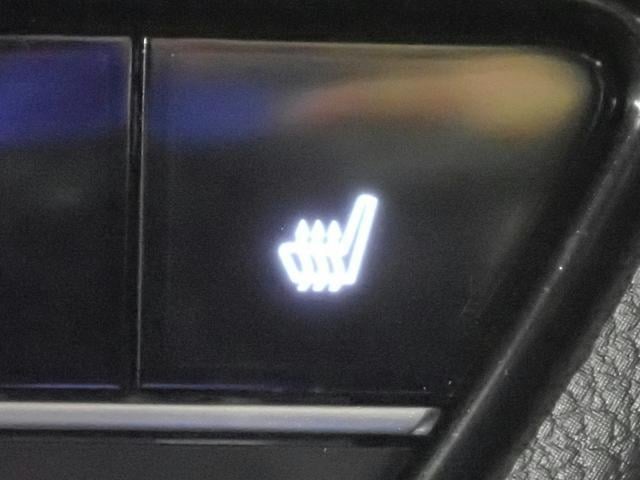 0204644A30251211W00509.jpg