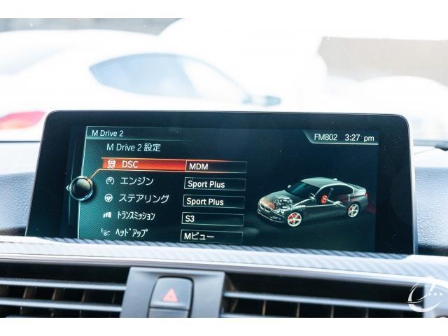 21684316_carP_l_20.jpg
