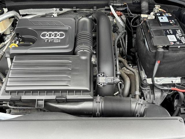 19579753_carP_l_9.jpg
