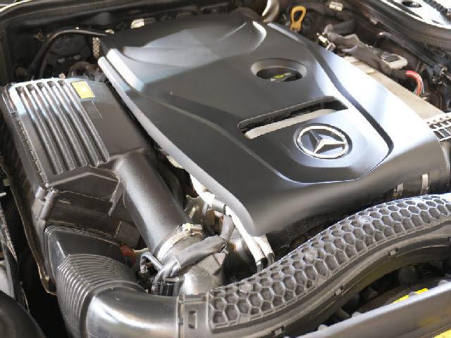 20521949_carP_l_2.jpg