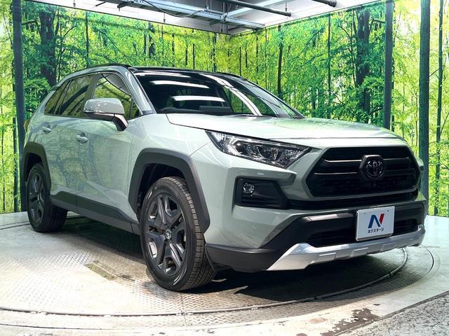 22915602_carP_l_11.jpg