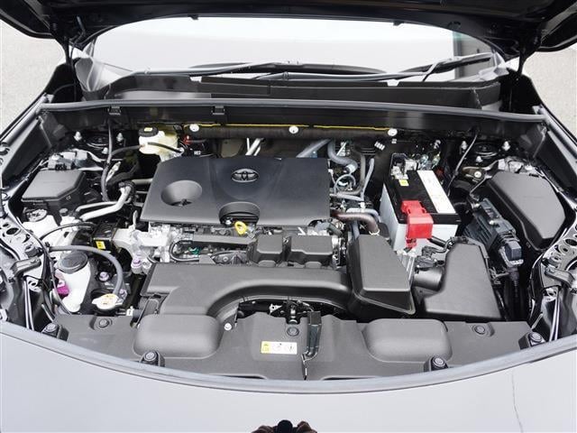 20177089_carP_l_19.jpg