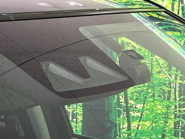 21637823_carP_l_10.jpg