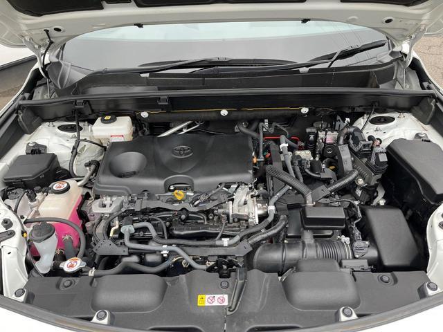22447999_carP_l_16.jpg