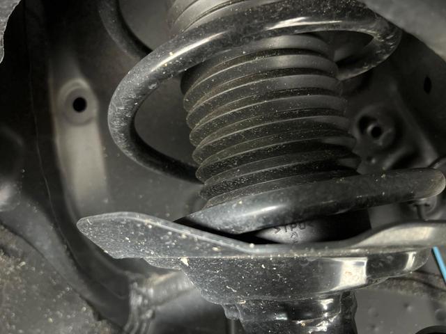 20008333_carP_l_20.jpg