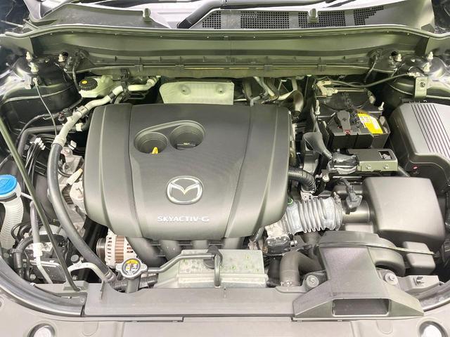 21254012_carP_l_12.jpg