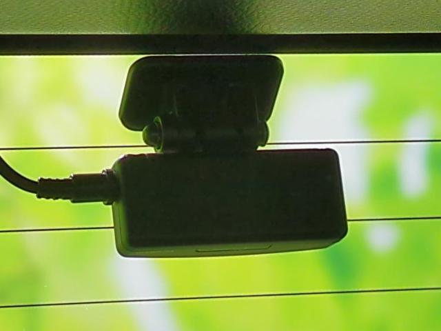 19940585_carP_l_8.jpg