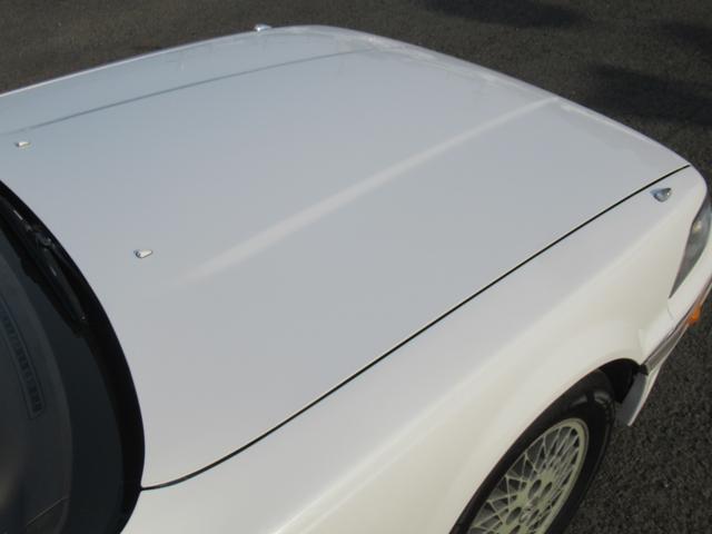 0404187A30260329W00113.jpg